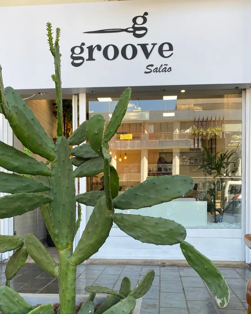 Fachada do salão com o letreiro groove Salão na faixa branca, vitrine de vidro e um cacto grande num vaso em primeiro plano