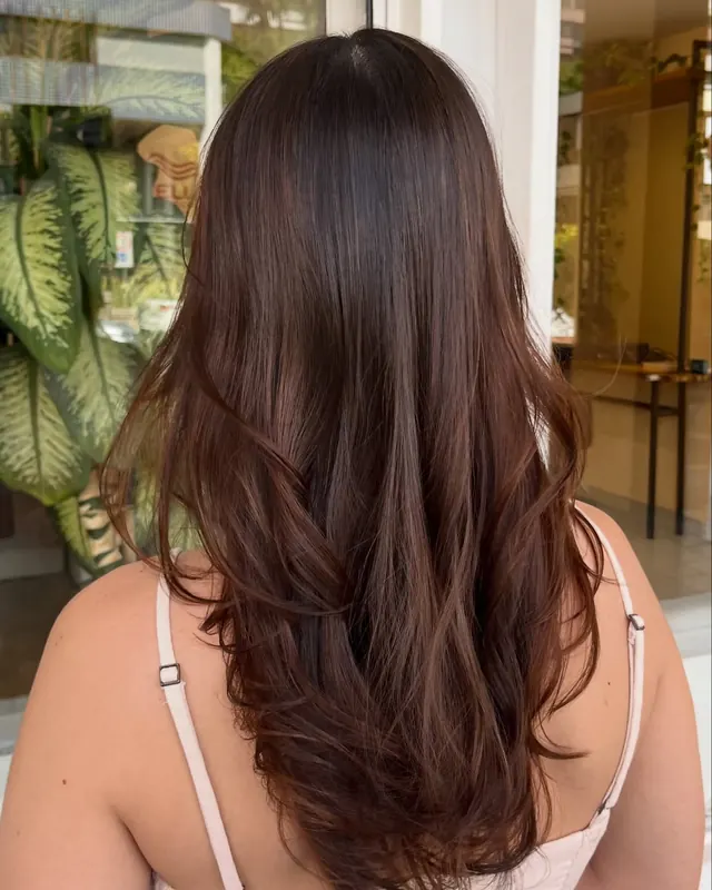 Cabelo castanho longo e liso com mechas suaves, visto de costas, com plantas e a vitrine ao fundo